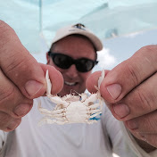 Paul Damerow - Youtube Profile Picture of Paul Damerow (@pauldamerow3615) on Youtube