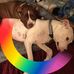 Profile Picture of Amy Jesionowski (@amy.jesionowski.5) on Facebook