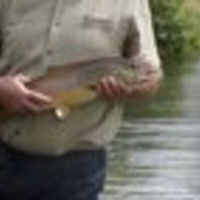 Profile Picture of Bruce Ashley (@bruce_psu) on Twitter