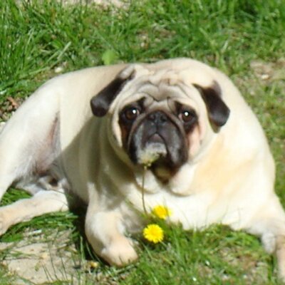 Profile Picture of Joe Normandy (@joe720) on Twitter