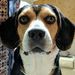 Profile Picture of Jeff Ruark (@workjruark) on Pinterest