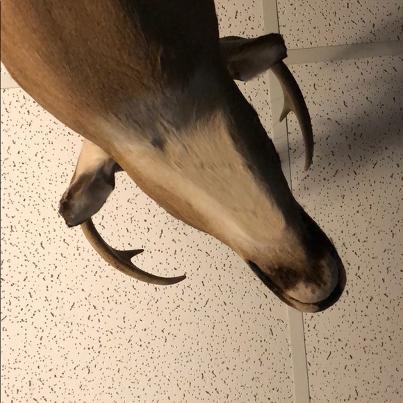 Profile Picture of Kyle Caray (@ktcaray) on Poshmark