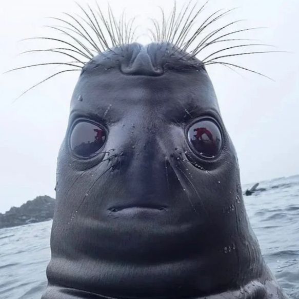 Profile Picture of Michael Cox (@michaelcoxxx) on Tiktok
