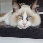 Profile Picture of paul eggleton (@p_eggleton) on Instagram