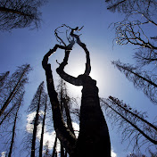 Profile Picture of Aaron Avery (@AaronAvery) on Youtube