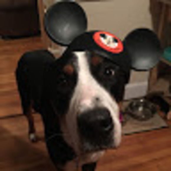 Profile Picture of Andrew Holstein (@asholstein) on Poshmark