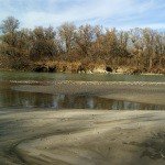 Profile Picture of Nicholas Dean (@o.garassino) on Instagram