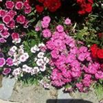 Profile Picture of Zubaidah Abdullah (@zubaidah.abdullah.543) on Instagram