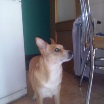 Profile Picture of Pedro Salcedo (@pedrosalcedo121) on Twitter