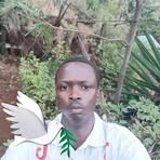 Profile Picture of Peter Kips (@Peter-Kips) on Facebook