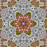 Profile Picture of Steve Marchant (@thatcher.s.penman) on Instagram