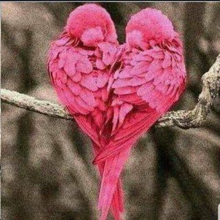 Profile Picture of Randa Doudak (@randa.doudak) on Facebook