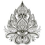 Andy Nagy - Instagram Profile Picture of Andy Nagy (@andyngy) on Instagram