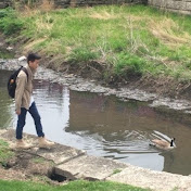 Profile Picture of Alexander Lee (@alexanderlee6739) on Youtube