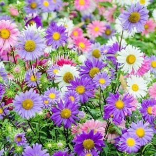 Profile Picture of Roza Tsay (@roza.tsay.96) on Facebook