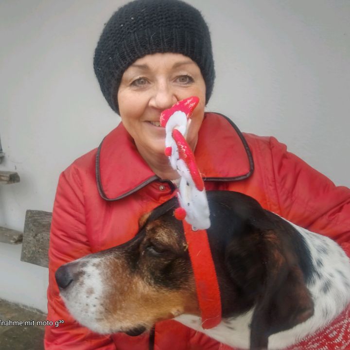 Profile Picture of Barbara Breher (@barbarabreher) on Tiktok
