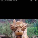 Profile Picture of Nancy Laucata (@Nancy-Laucata) on Facebook