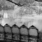 Profile Picture of Alonzo (@tabbingpaulovi) on Instagram