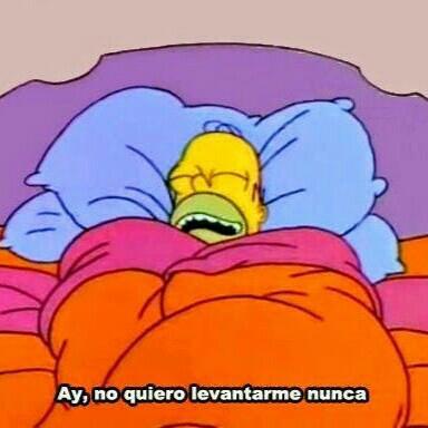 Antonio Torregrosa - Twitter Profile Picture of Antonio Torregrosa (@veggitoloko) on Twitter