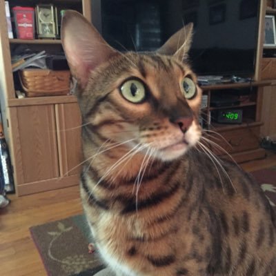 Profile Picture of Kevin Philo (@PhiloKevin) on Twitter