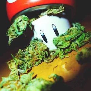 Profile Picture of Emilio Pardo Silva (@emiliopardo44) on Twitter