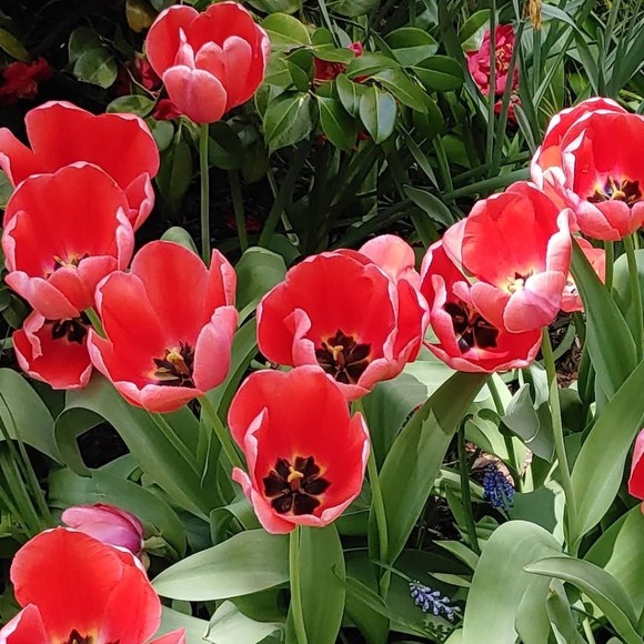 Profile Picture of Shawn Cundiff (@shawn_sd) on Poshmark