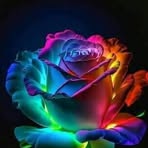 Profile Picture of John Kochi (@John-Kochi) on Facebook