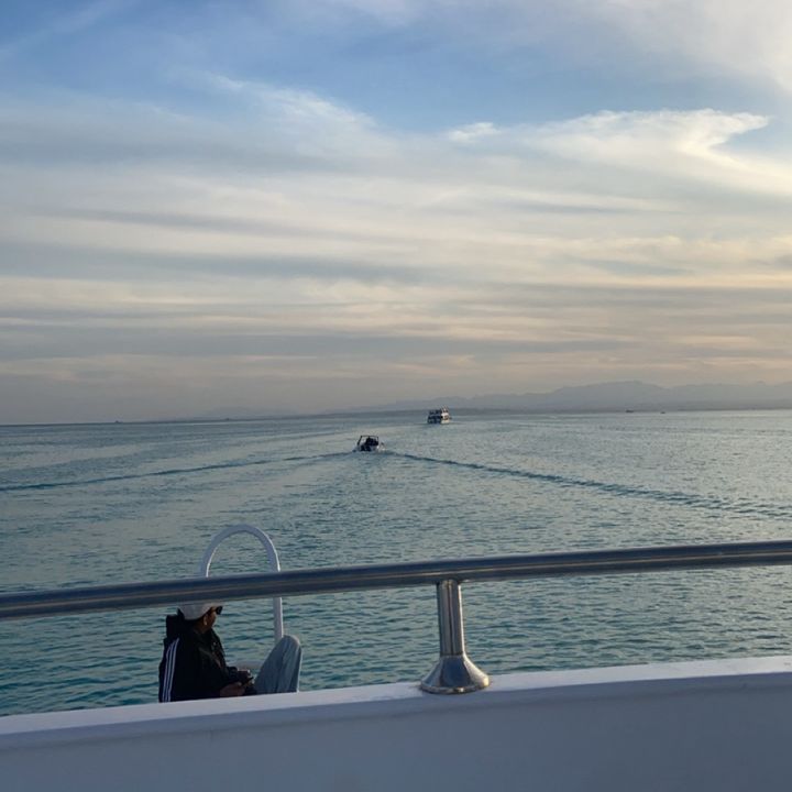 Frankie.privxx - Tiktok Profile Picture of Frankie.privxx (@frankieprivv01) on Tiktok