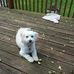 Profile Picture of Randy Chappell (@randy.chappell.3150) on Facebook