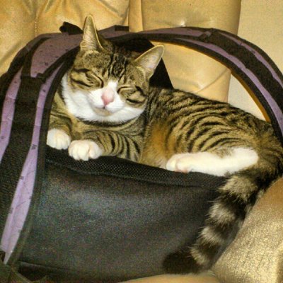 Profile Picture of Harold Grant (@solarsystemb74) on Twitter
