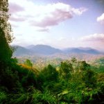 Profile Picture of James Heddington (@heddingtonjames) on Instagram