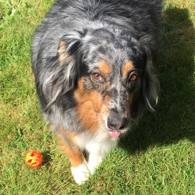 Profile Picture of Dena Ames (@DenaAmes) on Twitter