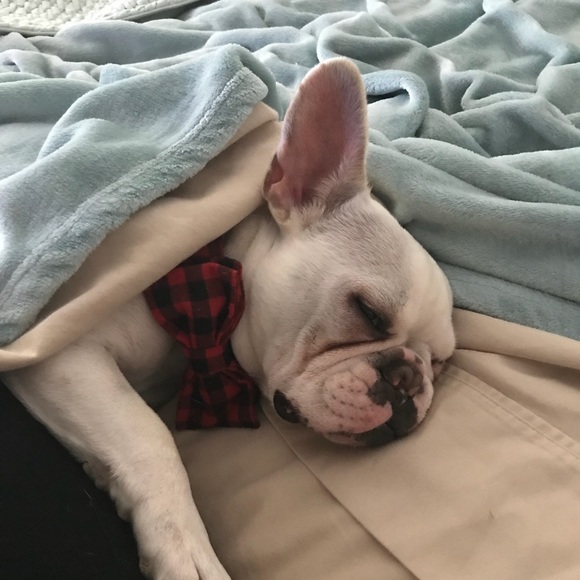 Profile Picture of Shannon Neidhardt (@viper7470) on Poshmark