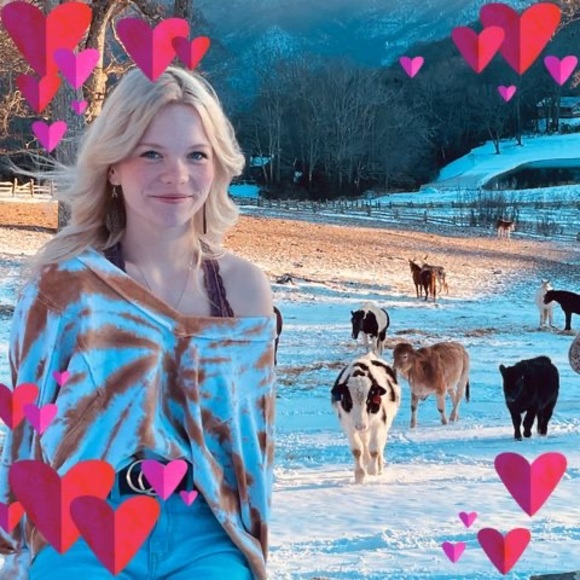 Profile Picture of Richard Gray (@richgray47) on Poshmark