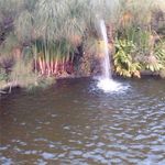 blade sanchez - Instagram Profile Picture of blade sanchez (@bladesanchez) on Instagram