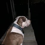 Profile Picture of Bracey Stevens (@canam_xmr_850) on Instagram