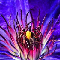 Profile Picture of Renee Barrett (@renee-barrett-4) on Quora