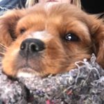 Profile Picture of Karina Gisela Hessellund (@karinahessellund) on Instagram