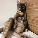 Profile Picture of Gary Kong (@garykkkong) on Instagram