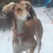 Profile Picture of Sarah McRoberts (@sarahmcroberts438) on Pinterest