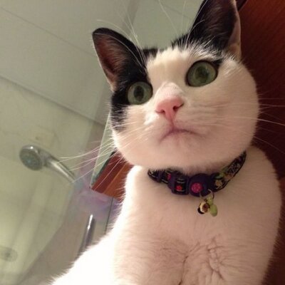 Profile Picture of Joseph Chow (@jykchow) on Twitter