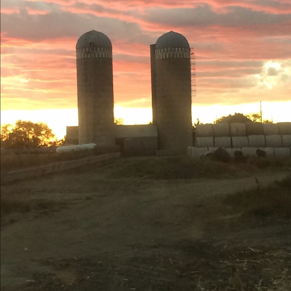 Profile Picture of Haley Stahl (@halex7) on Poshmark