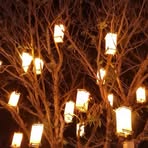 Profile Picture of Ernest Blanco (@ernest.blanco.980586) on Facebook