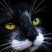 Profile Picture of Scott Lacer (@scott.lacer.58) on Facebook