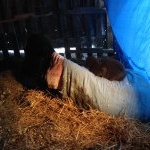 Profile Picture of Dalton Hatcher (@dalton_hatch) on Instagram