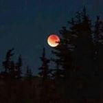 Profile Picture of Omar Sadiq (@omar.sadiq.313) on Instagram