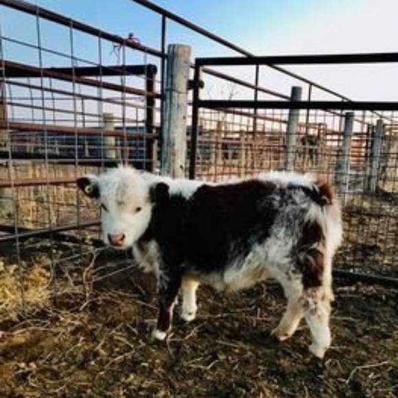 Profile Picture of Kimberly Corral (@l8pmmbjdrux) on Poshmark