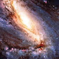 Profile Picture of Steven Terranova (@steven-terranova-4) on Quora