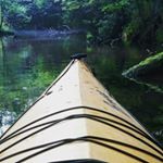 Profile Picture of jerome (@jeromemartinek) on Instagram