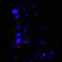 Profile Picture of Aaron Lezama (@aaron-lezama-1) on Quora